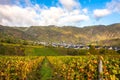 Autumn Moselle vinyards Landscape and the village Bremm Germany Royalty Free Stock Photo