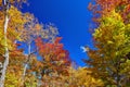 Autumn colors in the Allegheny Highlands near Seneca Rocks, West Virginia