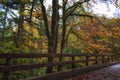 Autumn Colors along footbridge Royalty Free Stock Photo