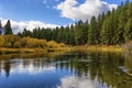 Autumn Colors along the Williamson River, Klamath County Oregon