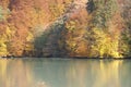 Autumn colors - As cores do Outono Royalty Free Stock Photo