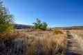 The colors of autumn line the paths of the trails on Snow Mountain Ranch. Royalty Free Stock Photo