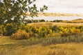 Autumn colors in Buffalo Pound Provincial Park