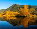 Cheam Lake Wetlands Regional Park, Rosedale, British Columbia, C Royalty Free Stock Photo