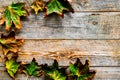 Autumn colors concept. Mockup with yellow leaves on wooden background top view copy space Royalty Free Stock Photo