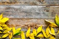 Autumn colors concept. Mockup with yellow leaves on wooden background top view copy space Royalty Free Stock Photo