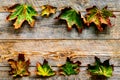 Autumn colors concept. Mockup with yellow leaves on wooden background top view copy space Royalty Free Stock Photo