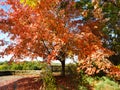 Autumn colors at Cornell Botanic Garden overlook