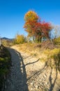 Autumn Colors - .Coutry Road, Rural Scene - Romania - Transylvania Royalty Free Stock Photo