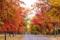 Autumn colors in countryside