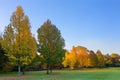 Autumn Colors Royalty Free Stock Photo