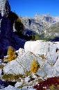 Autumn colors in the Dolomites Royalty Free Stock Photo