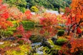 Autumn Colors in Eikando, Kyoto