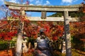 Autumn colors at Eikando temple, Kyoto Royalty Free Stock Photo