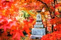 Autumn Colors in Eikando Temple, Kyoto, Kansai, Japan Royalty Free Stock Photo