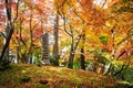 Autumn Colors in Eikando Temple, Kyoto, Kansai, Japan Royalty Free Stock Photo