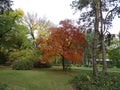 Autumn colors. Fairytale in the park. Autumn landscape, romantic and peaceful. Royalty Free Stock Photo