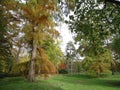 Autumn colors. Fairytale in the park. Autumn landscape, romantic and peaceful. Royalty Free Stock Photo