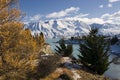 Autumn colors and fresh snow on Lake Pukaki, New Zealand