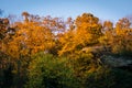 Autumn colors in Harpers Ferry, West Virginia. Royalty Free Stock Photo