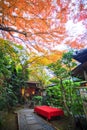 Autumn Colors in Japan, Beautiful autumn leaves