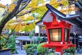 Autumn Colors in Japan, Beautiful autumn leaves