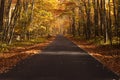 Autumn colors line a road