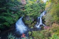 Autumn colors at the lower Ryuzu Waterfall basin in Nikko,Tochigi Prefecture,Japan. Royalty Free Stock Photo