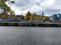 Autumn colors at the Maas river in Maastricht, Netherlands