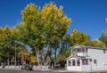 Autumn colors in main street Bridgeport, California