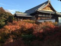 Autumn colors of maple trees in front of tofukuji temple in Kyoto Royalty Free Stock Photo