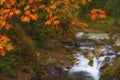 Autumn Colors on McKenzie Pass-Santiam Pass Scenic Byway