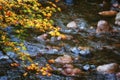 Autumn Colors on McKenzie Pass-Santiam Pass Scenic Byway