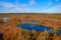 Autumn colors mire landscapes