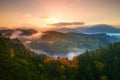 Autumn colors. Misty pine forest on the mountain slope in a nature reserve