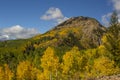 Autumn Colors on the Mountain on Ohio Pass, Near Crested Butte, Colorado