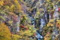 Autumn Colors of Naruko-Gorge in Japan Royalty Free Stock Photo