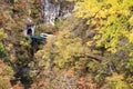 Autumn Colors of Naruko-Gorge in Japan Royalty Free Stock Photo