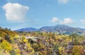 Autumn colors of Naruko Gorge in Japan and nice blue and cloud b Royalty Free Stock Photo