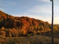 Autumn colors. Nature in the most beautiful reddish yellow colors
