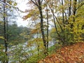 Autumn colors near river Nemunas Royalty Free Stock Photo