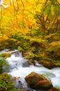 Autumn Colors of Oirase River