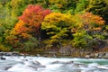 Autumn Colors of Oirase River