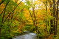 Autumn Colors of Oirase River Royalty Free Stock Photo