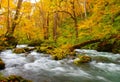 Autumn Colors of Oirase River