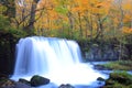 Autumn Colors of Oirase Stream