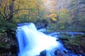 Autumn Colors of Oirase Stream