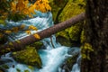 Autumn Colors Oregon Landscape Toketee Falls Douglas County Oreg