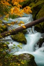 Autumn Colors Oregon Landscape Toketee Falls Douglas County Oreg