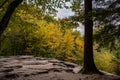 Autumn Colors at Overlook Royalty Free Stock Photo